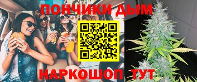 гидропоника Гатчина