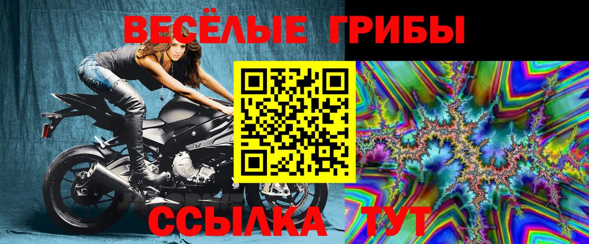 Галлюциногенные грибы мухоморы  Галлюциногенные грибы мухоморы  купить закладку  Кашира  Вход с VPN 